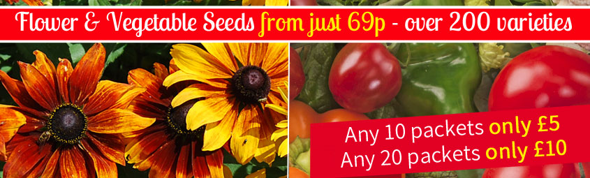 Mix & Match Seed Offer - any 10 packets just £5 or 20 packets just £10