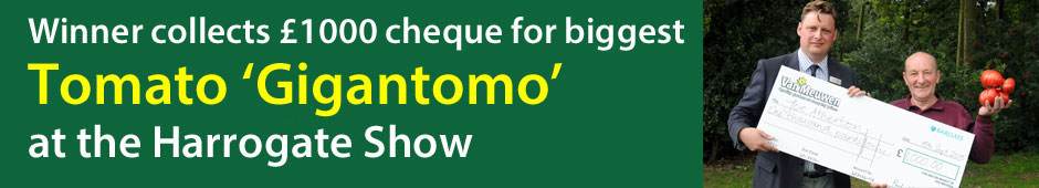 New Gigantomo - the world 's biggest tomato