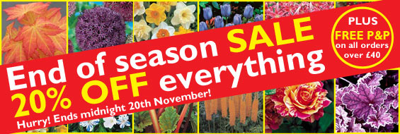 End of Season Sale - 20% off Everything IMAGE BOX