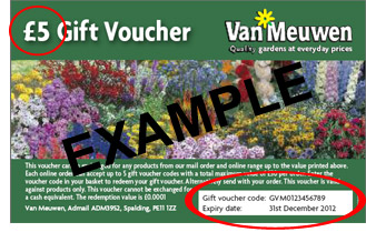 gift voucher example