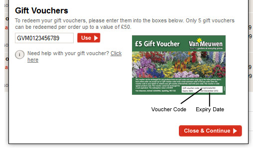 gift voucher pop up example