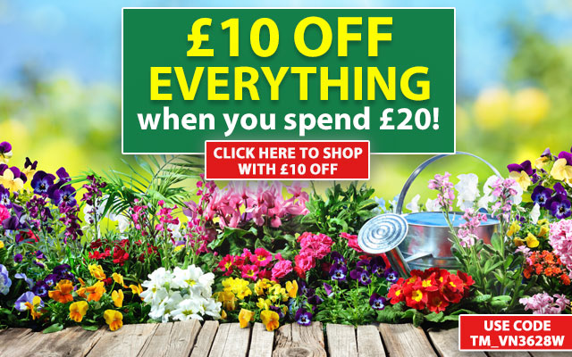 £10 OFF when you spend £20