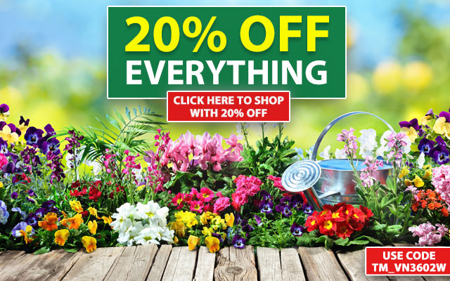 20% OFF EVERYTHING
