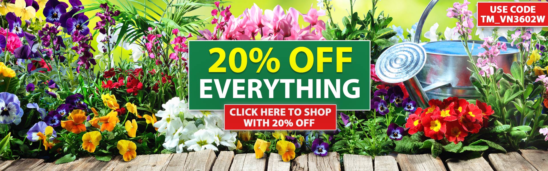 20% OFF EVERYTHING