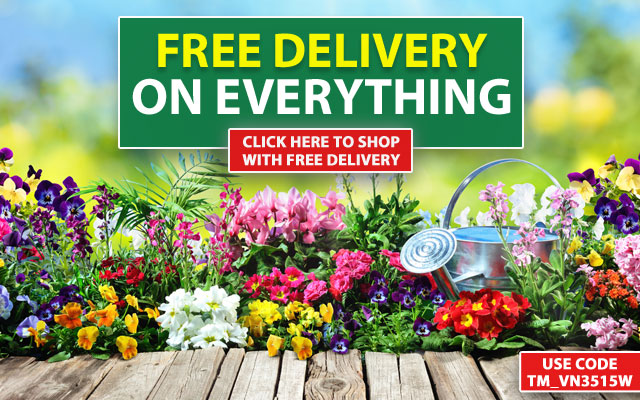 FREE DELIVERY