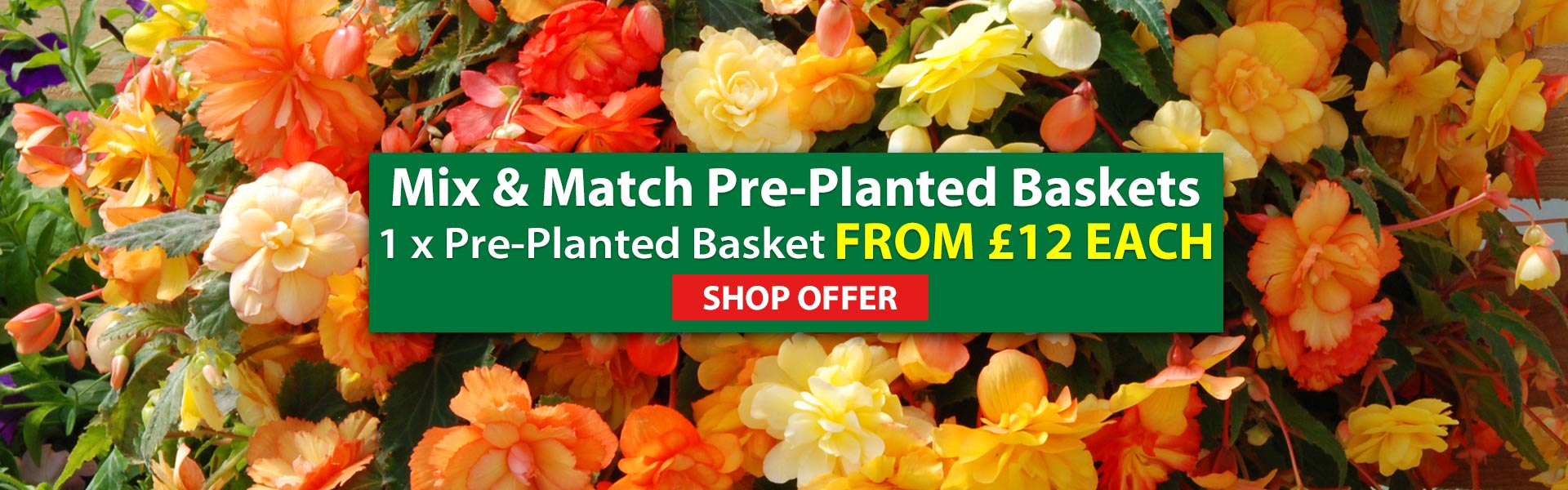 Basket Mix & Match