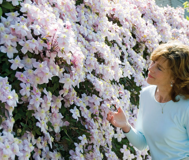 Climbing Plants