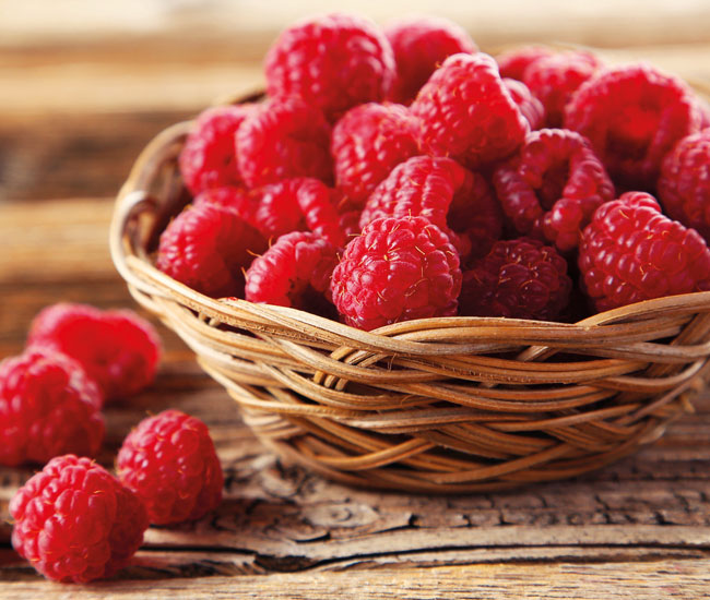 Fruit