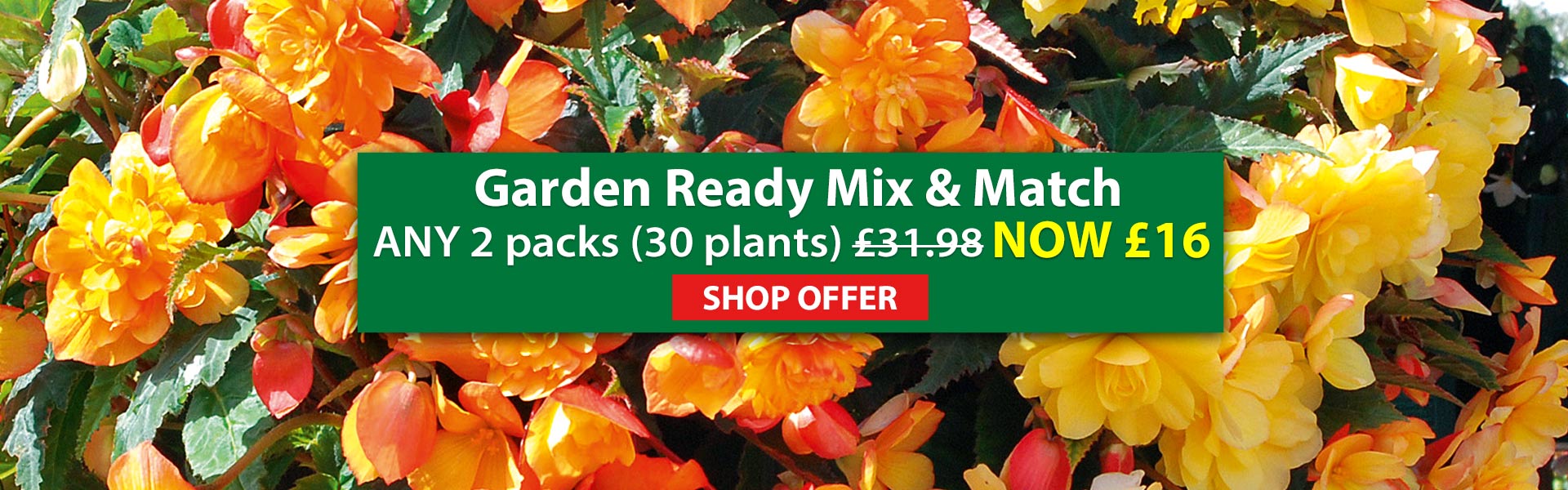 Garden Ready Mix & Match