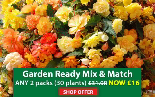 Garden Ready Mix & Match