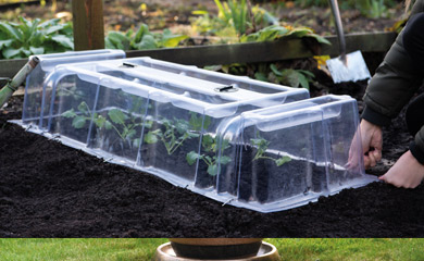 Mini Greenhouse Cloche