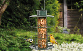 Squirrel Proof Feeders