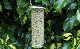 Sunflower Seed Feeders