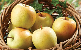 Apple Trees & Pear Trees