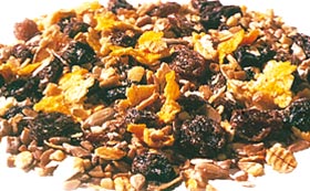 Bird Food