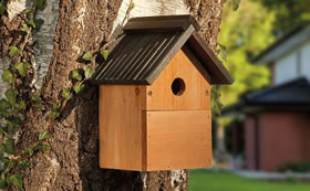 Nesting Boxes