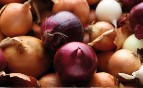Onion & Leek Seeds