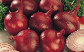 Onion Sets & Garlic Bulbs