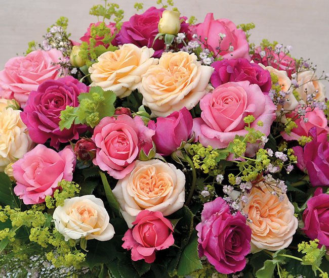 Roses