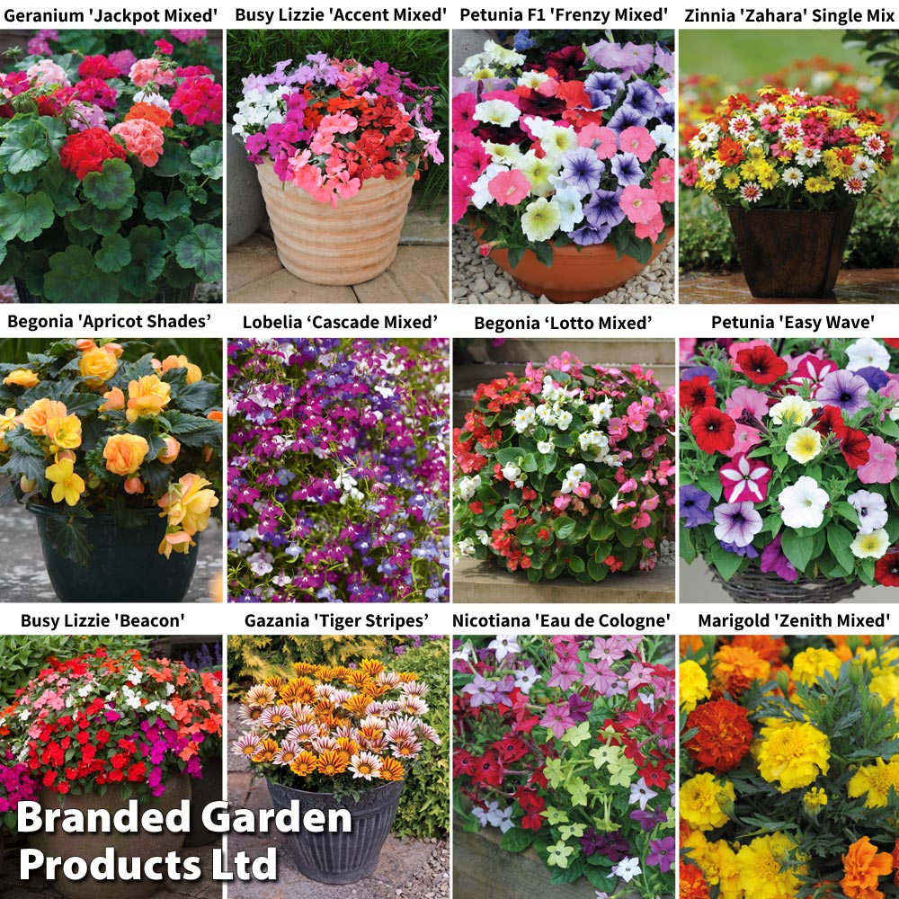 Garden Ready Bumper Collection