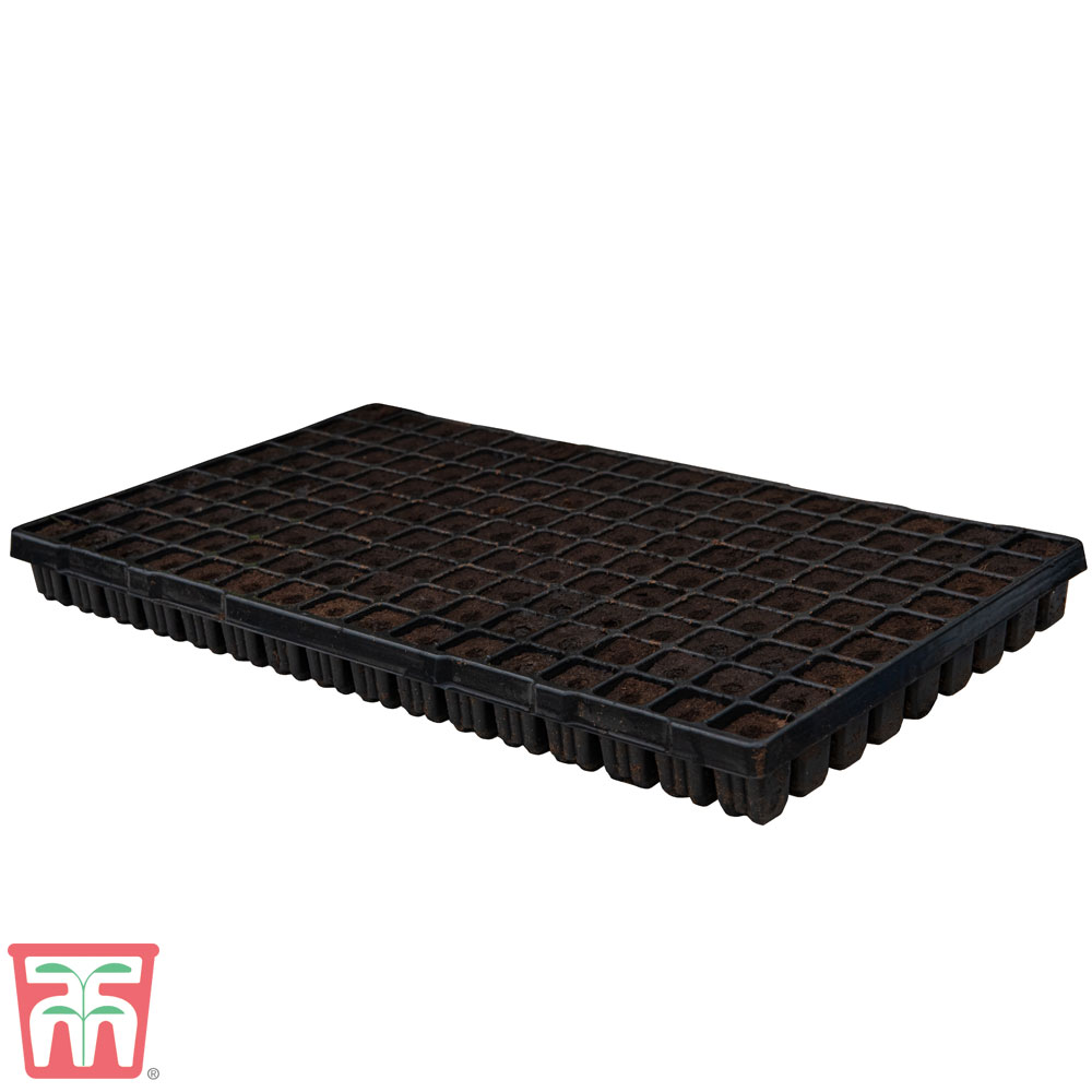 144 Cell Black Plastic Seed Tray