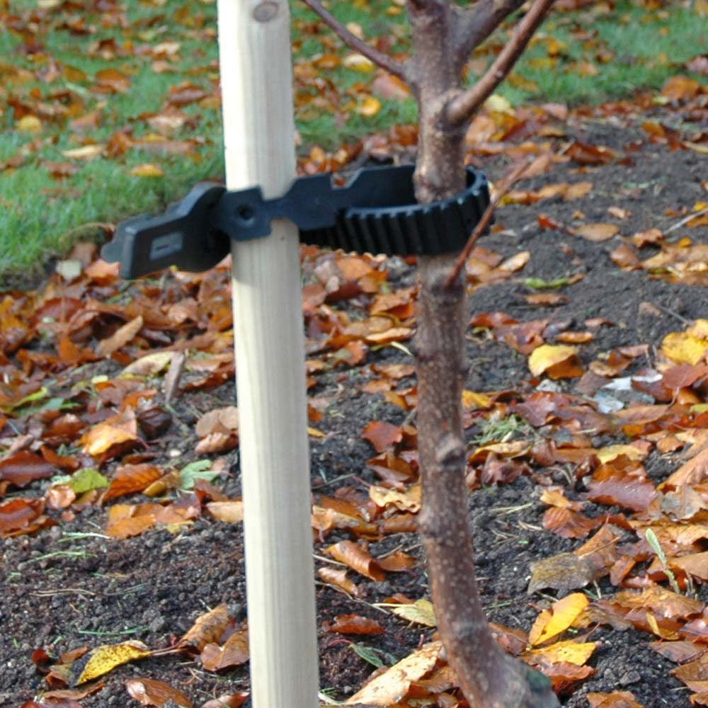 Tree Stake and Tie