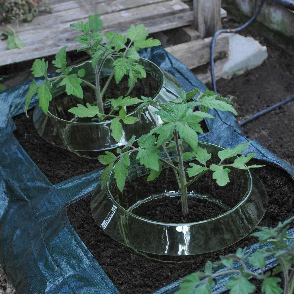 Tomato Growing Bag