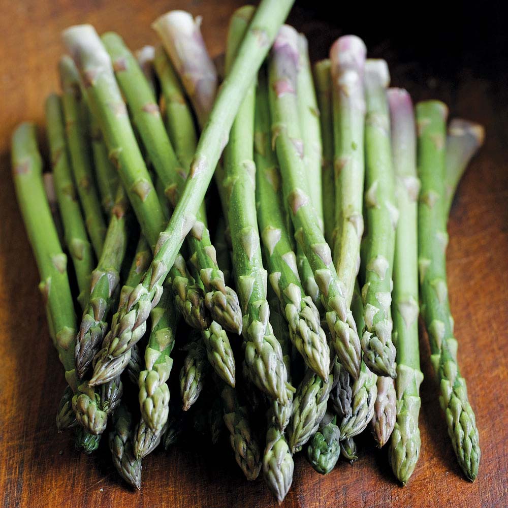 Asparagus officinalis 'Ariane' (Seeds)