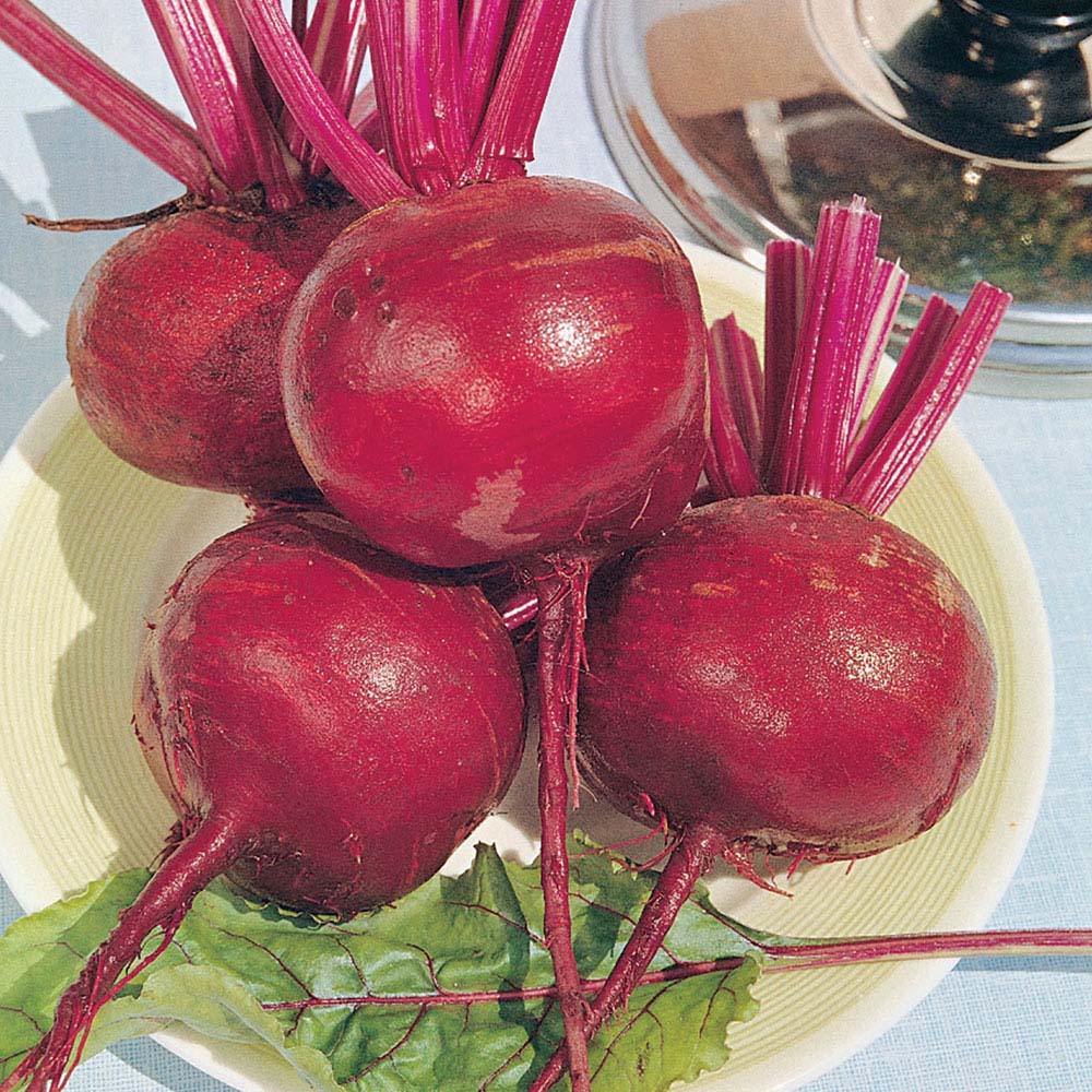 Beetroot 'Detroit 2 Crimson Globe' (Seeds)