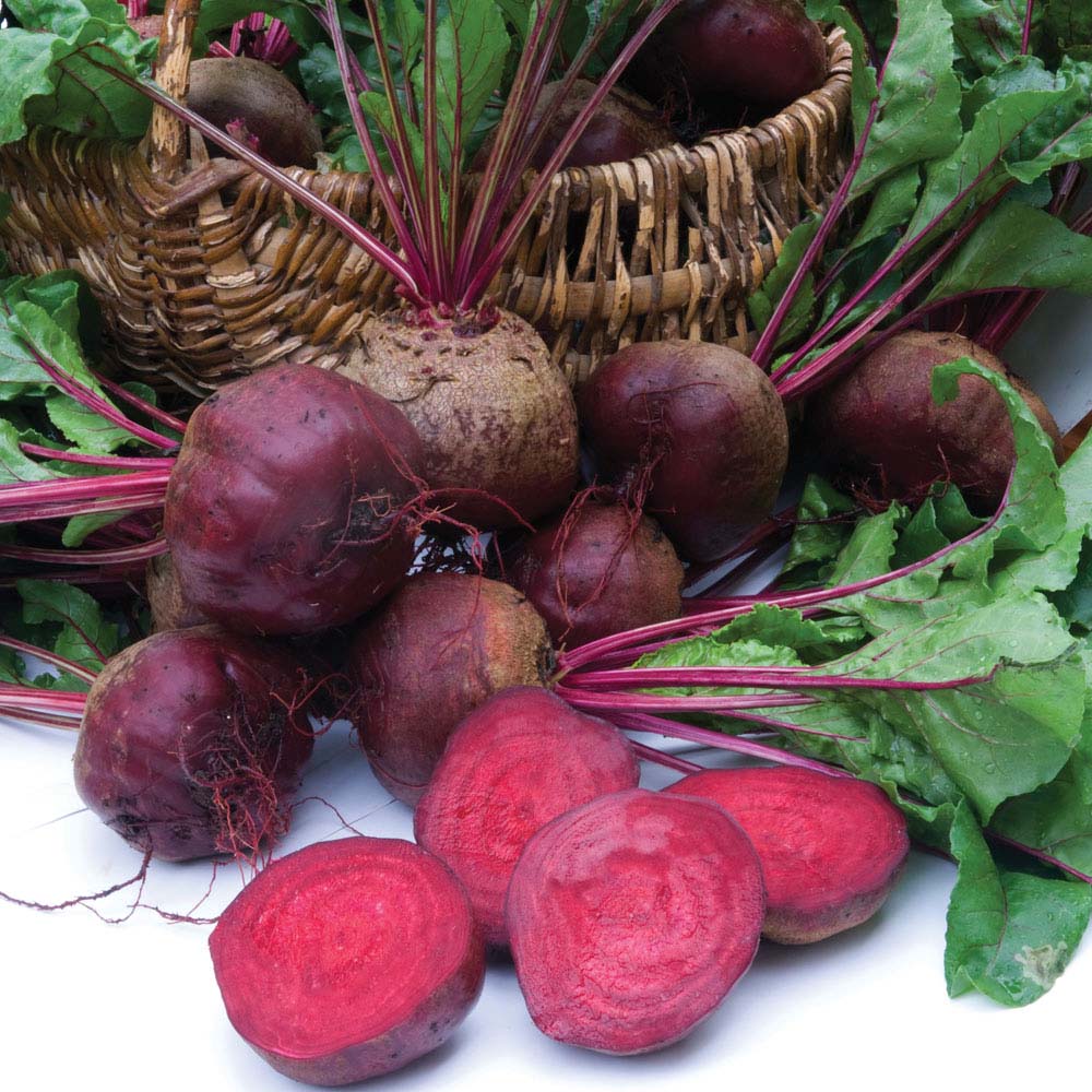 Beetroot 'Moneta' (Seeds)