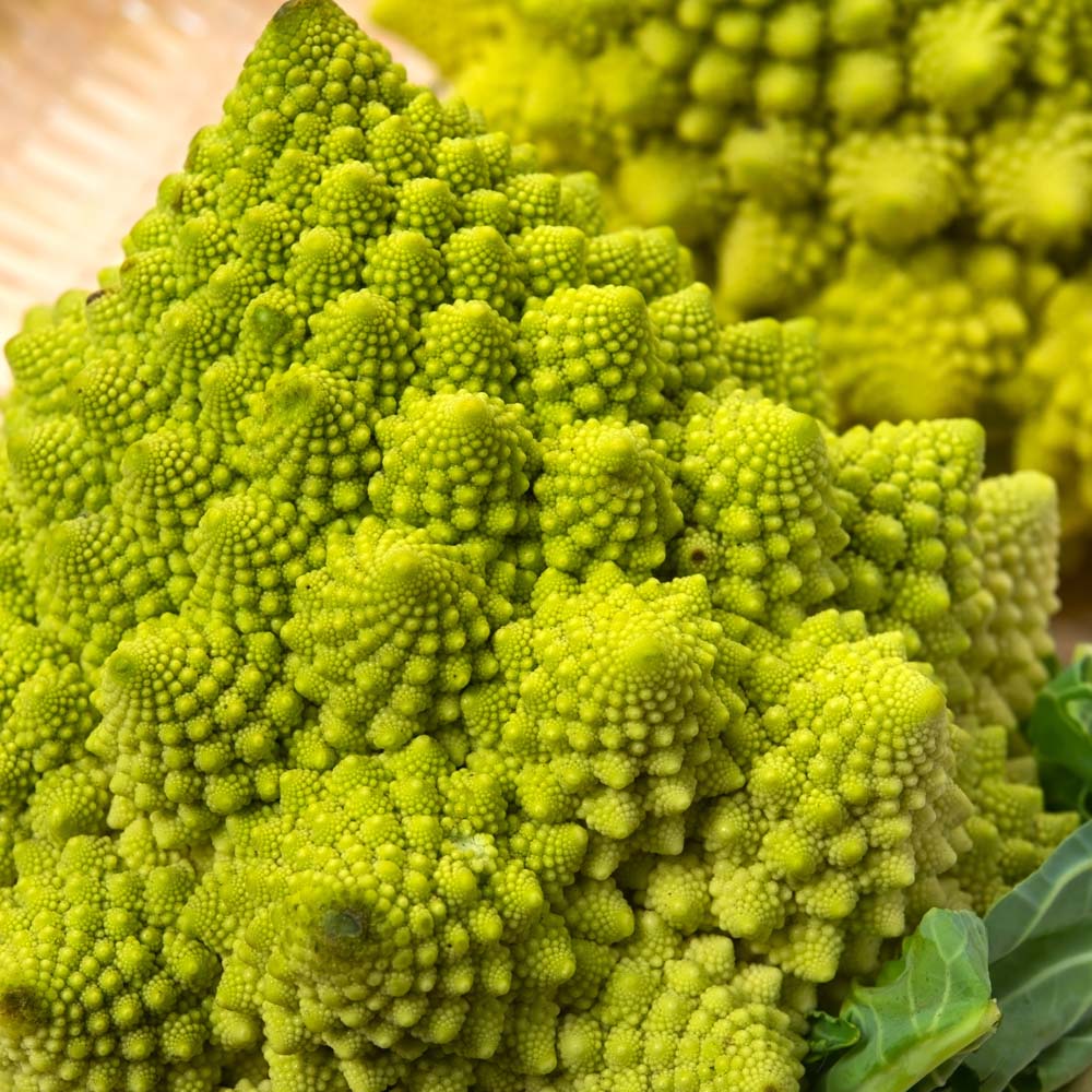 Broccoli 'Romanesco' (Seeds)