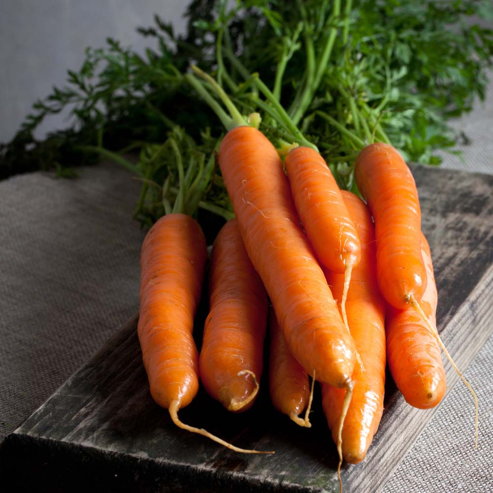 Carrot 'Nantes 2 Frubund' (Fast Crop) (Seeds)