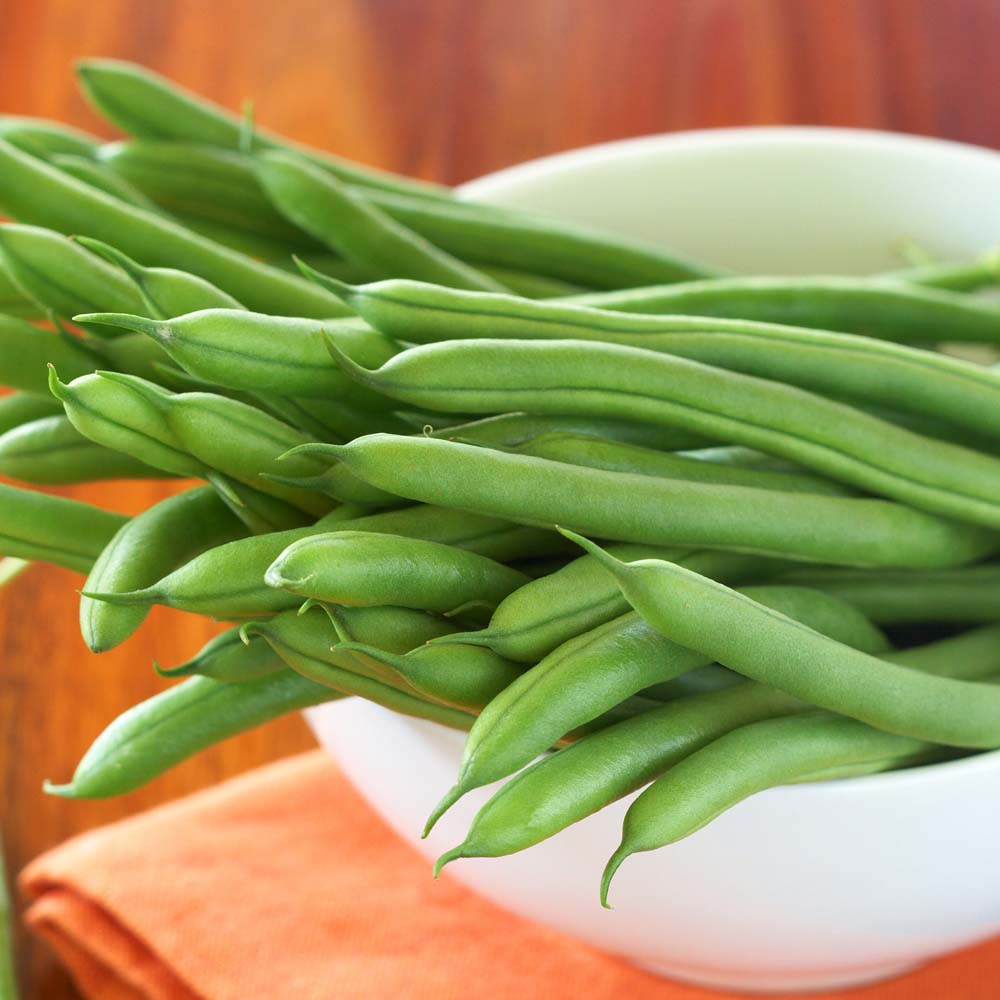 Climbing Bean 'Fasold' (Seeds)