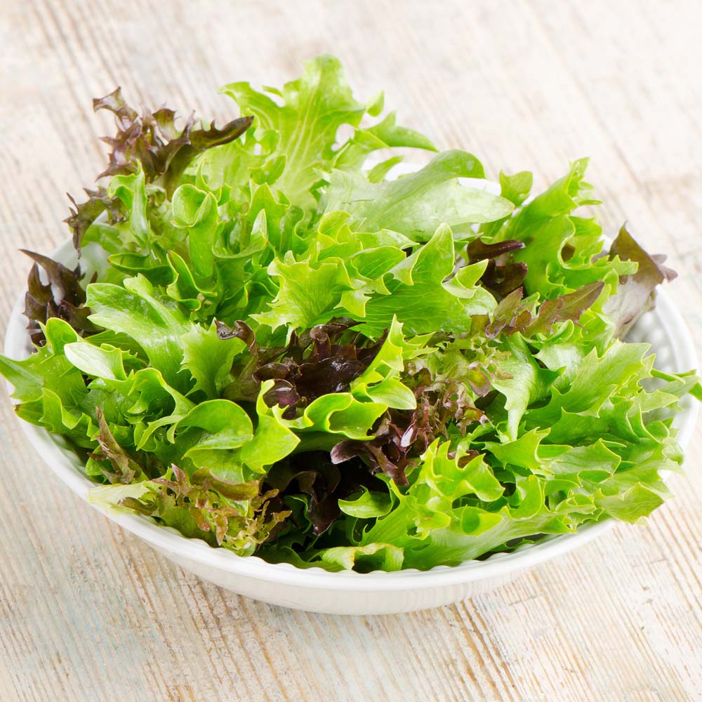 Lettuce 'Leaves Mixed' (Seeds)