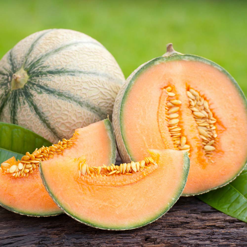 Melon 'Emir' F1 Hybrid (Seeds)