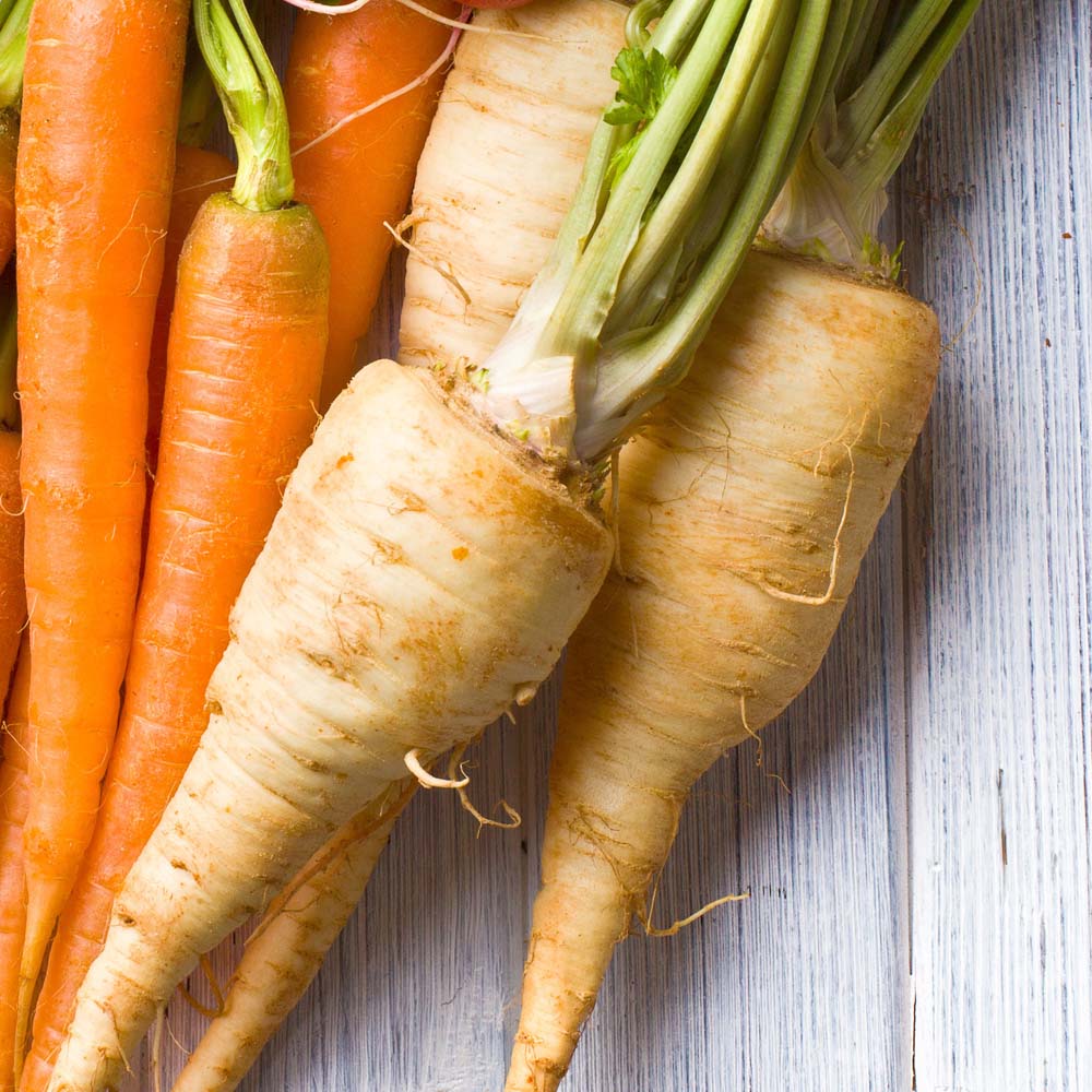 Parsnip 'White Gem' (Seeds)