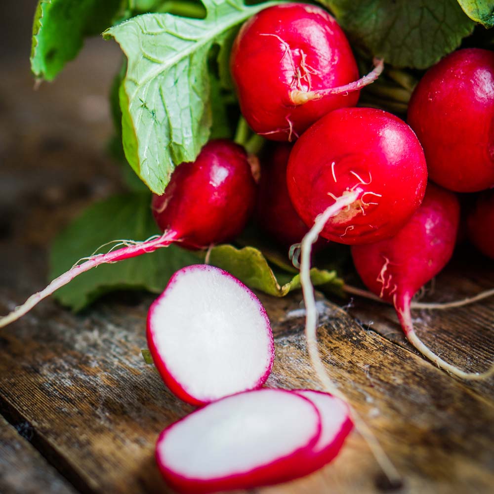 Radish 'Cherry Jolly' (Seeds)