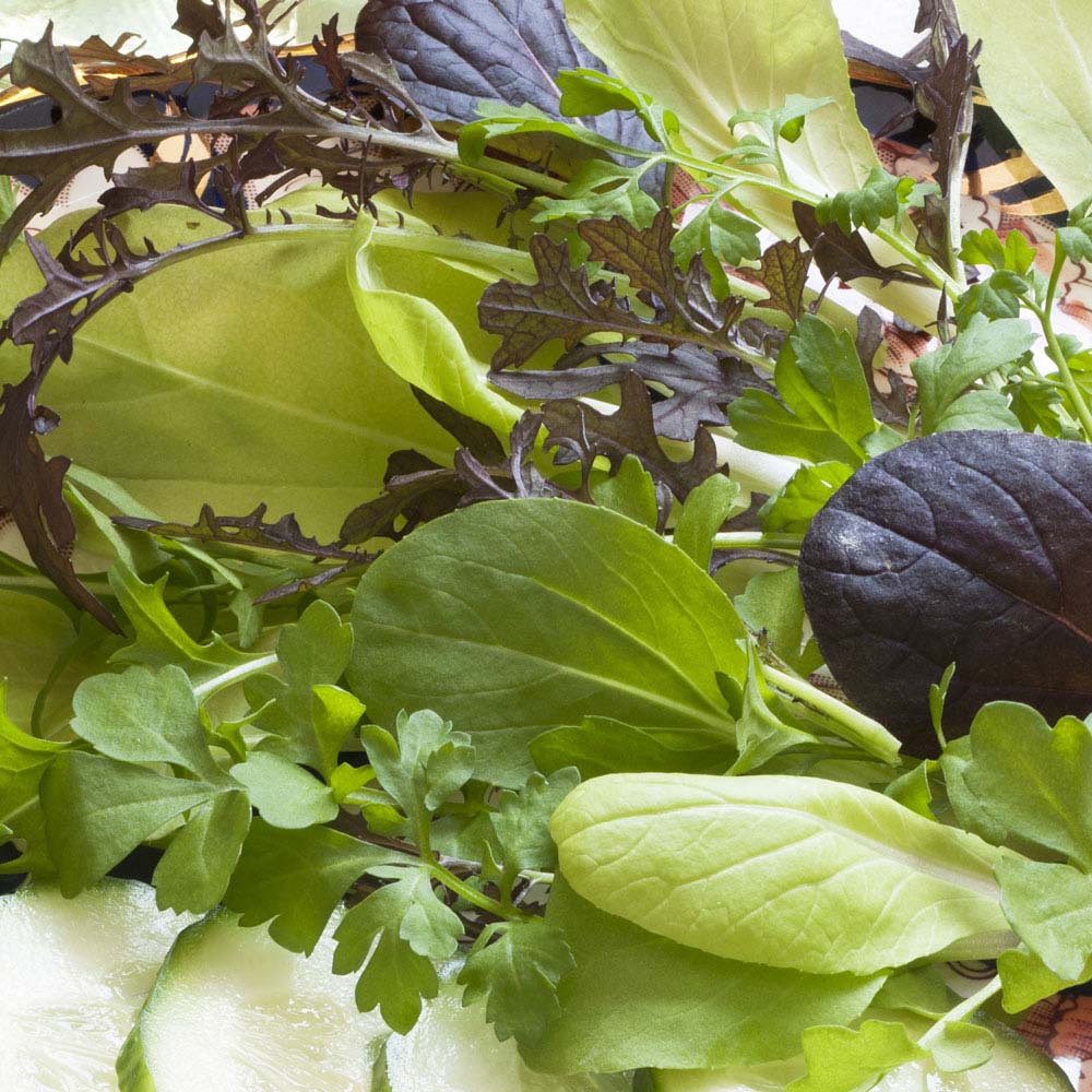 Salad Leaves 'French Mix' (Seeds)