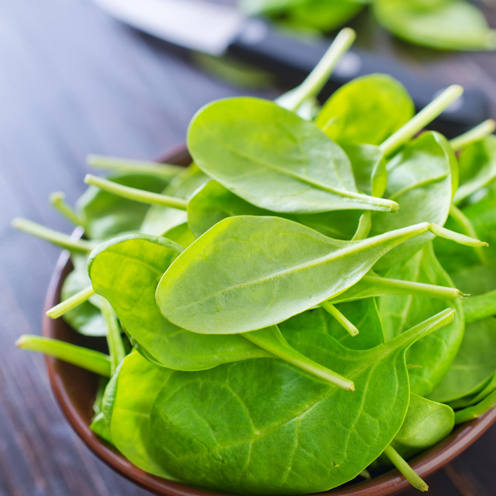 Spinach 'Amazon' (Seeds)