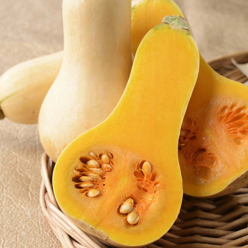 Squash 'Hunter' (Seeds)