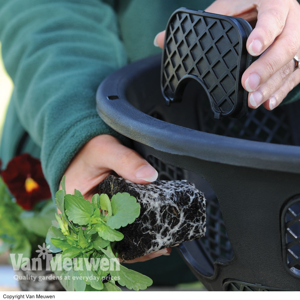 Easy&#45;Fill Hanging Baskets