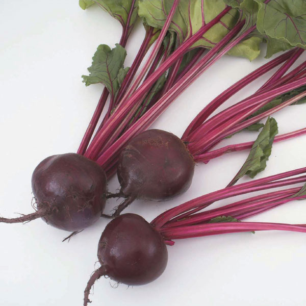 Beetroot 'Kestrel' F1 Hybrid (Globe)