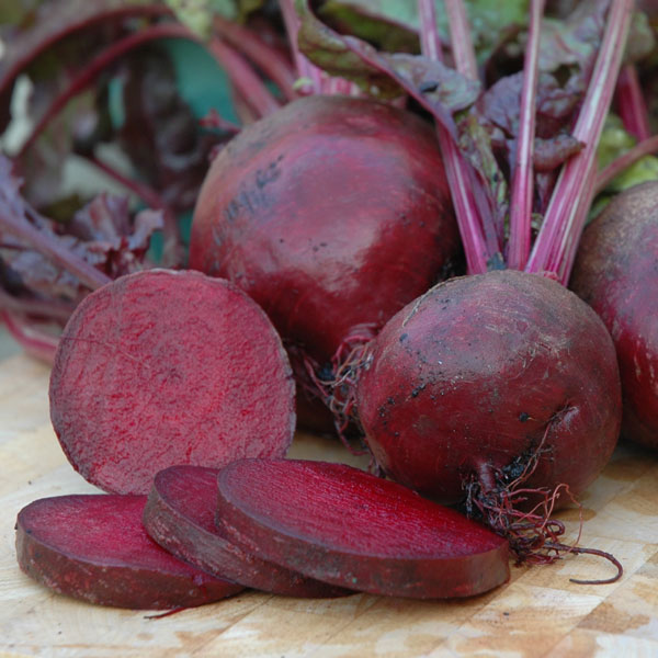 Beetroot 'Boltardy' (Start-A-Garden&trade; Range)