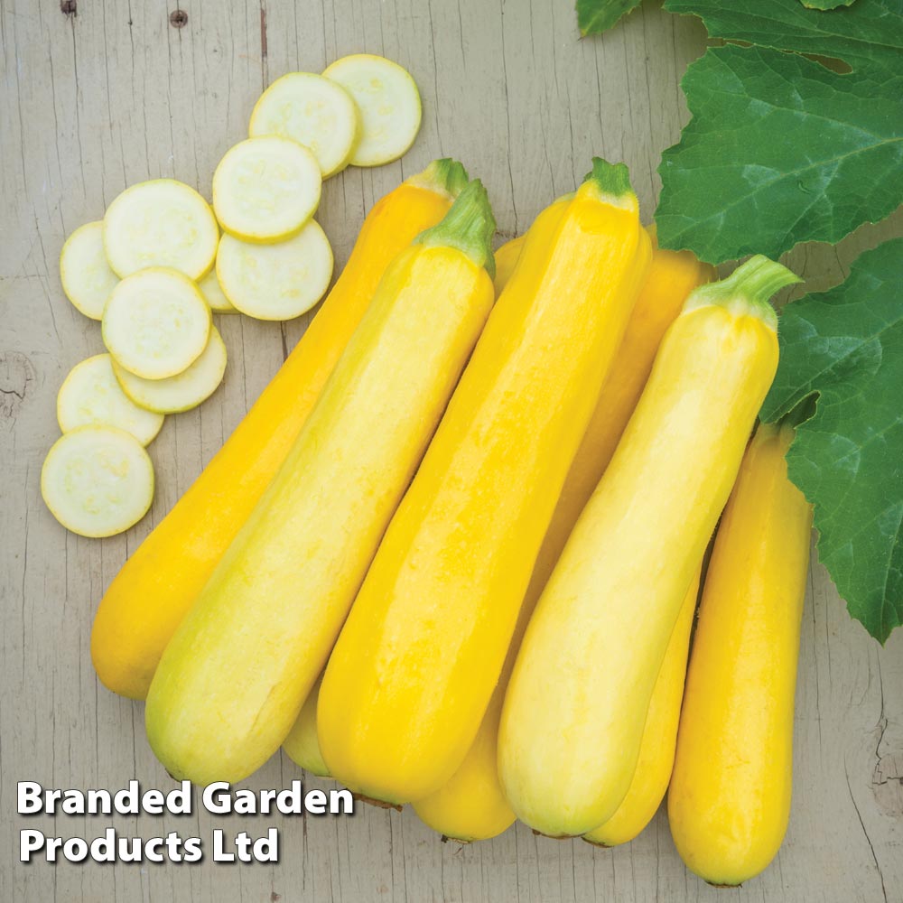 Courgette 'Butterstick' F1