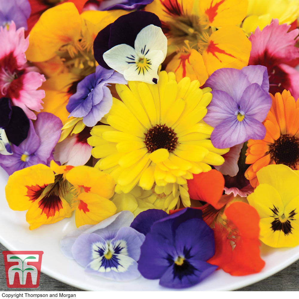 Edible Flower Mix