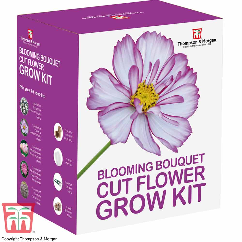 Blooming Bouquet Cut Flower Growing Kit - Gift