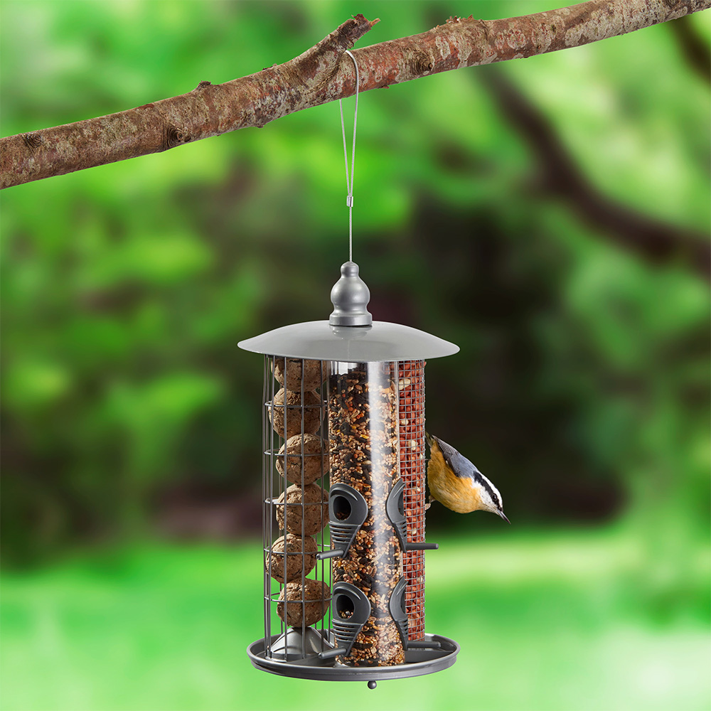 Kingfisher Squirrel Guard Bird Feeders Feed Discount Deals Seed Nut & Fat Ball 