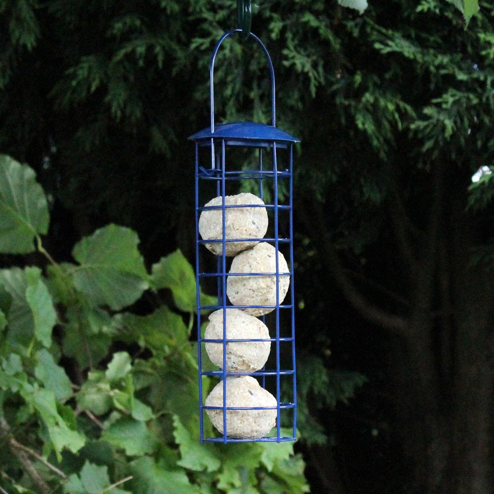 Kingfisher Blue Powder Coated Suet Ball Feeder