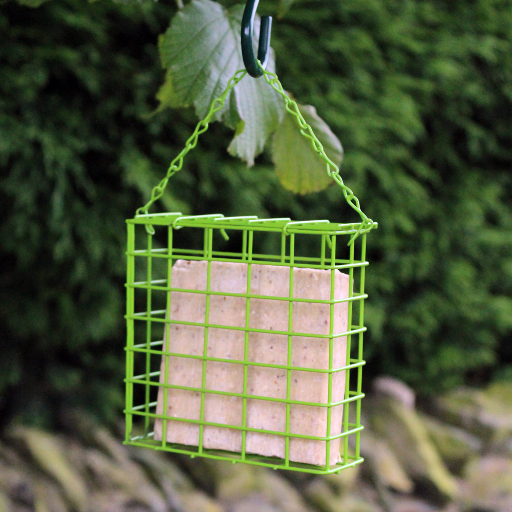 Kingfisher Suet Cake Feeder