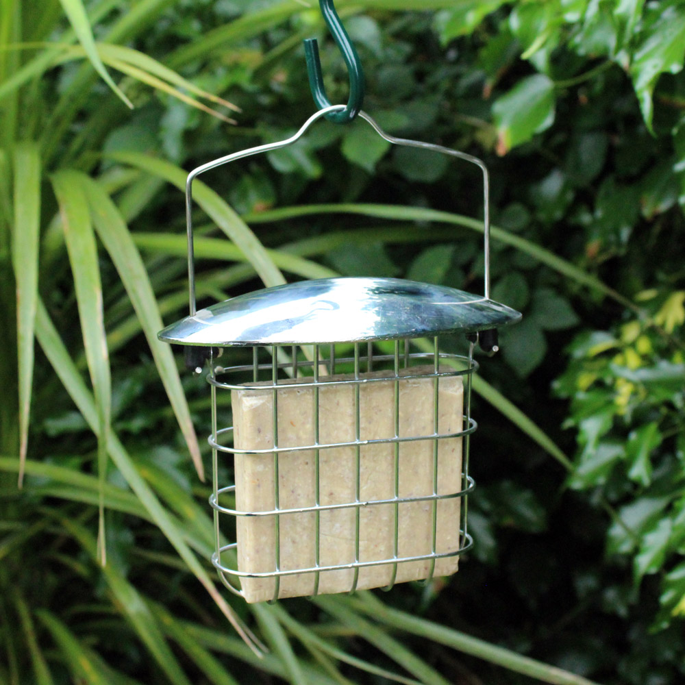 Kingfisher Stainless Steel Suet Cake Feeder